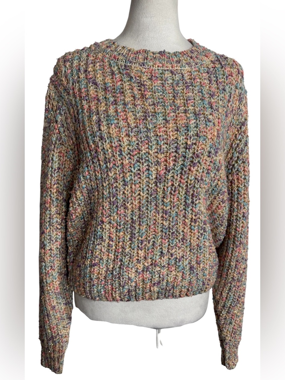 Francesca's  Multicolor chunky knit Crewneck Sweater gold thread medium